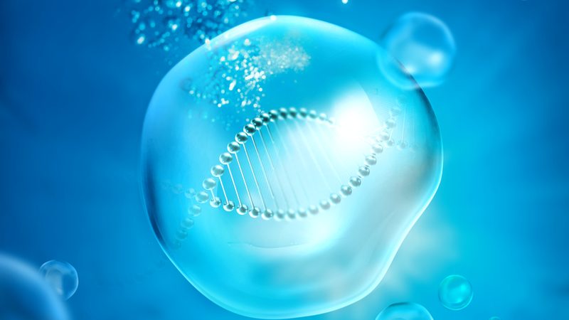 生物科技肥料主要包括以下几种类型：