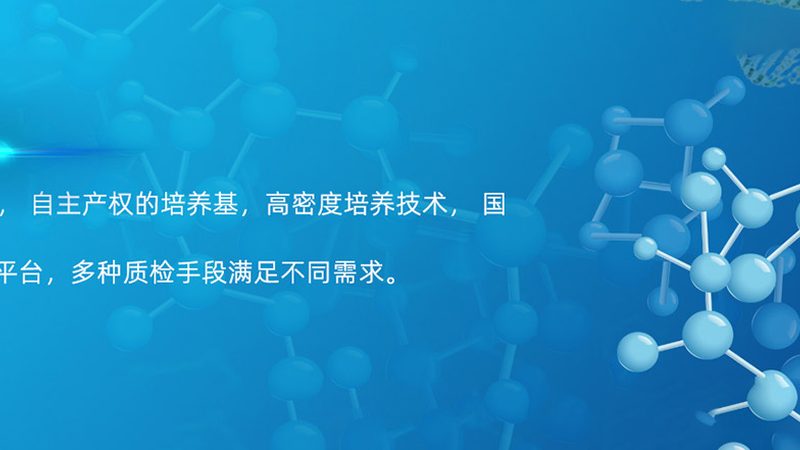 引言：引物在分子生物学研究中的重要性