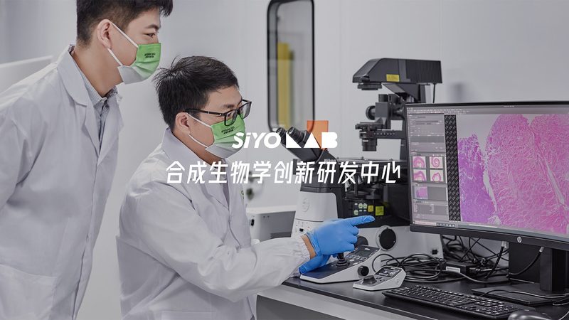 引物合成的批量采购，你真的了解吗？**