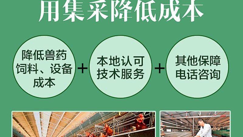 PCR检测定制服务：揭秘定制化报价背后的考量因素
