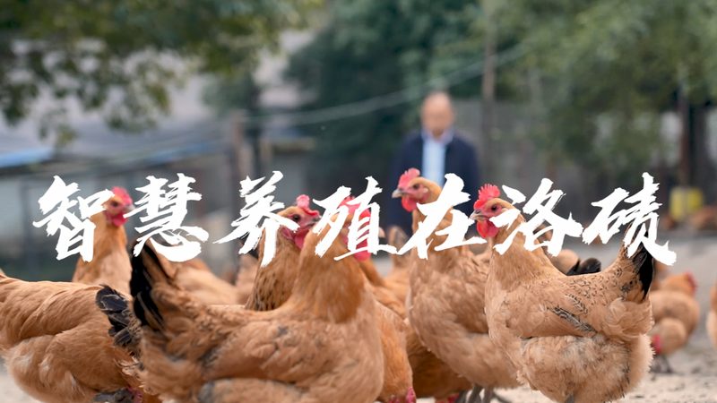 新生儿基因筛查结果阳性怎么办