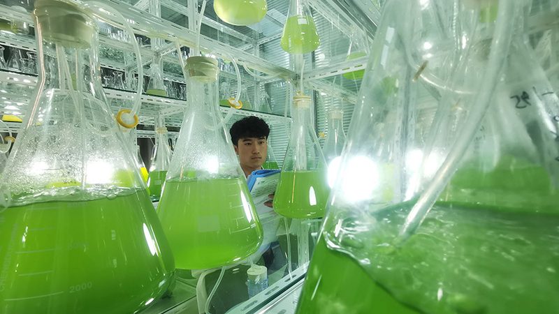 发酵罐型号参数解析：揭秘生物科技核心设备**